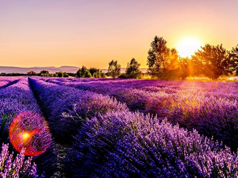 Spring Awakens the Soul
